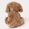 (預購中) 瑞典 Teddykompaniet Selma黃金幼犬