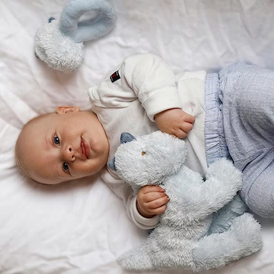 北歐瑞典 Teddykompaniet Lolli恐龍安撫玩偶, 尺寸  玩偶長度:30 cm, 材質100%聚脂纖維。洗衣機40度洗滌 , 陰乾即可, (洗衣機正常洗滌)。孩子和安慰物之間的聯結越親密,在面對壓力時,就越能適應。來自瑞典的Teddykompaniet安撫玩偶除了有超柔軟短絨毛抓握時特別舒服有安全感,並減低焦慮情緒,使心情放鬆。可愛的恐龍造型除了吸引寶貝的注意力,連大人都愛不釋手!絕對是派對或是見面禮絕佳的選擇!#Fantaskid #Teddykompaniet #Lolli Dinos #Soft Toy #Blue