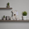 北歐瑞典 Teddykompaniet Cream 白狗狗(小), 尺寸  玩偶長度:21 cm, 材質100%聚脂纖維, 洗衣機40度洗滌 , 陰乾即可(洗衣機正常洗滌)。如果有一個玩偶是不管大人還是小孩,看到他都會眼露愛心,大叫好可愛的,就非這個超柔軟系列Cream的狗狗安撫玩偶莫屬了。舒服的超柔軟手感,加上適量的填充物,是相當多大人都會全套收集的,全年容易缺貨商品。呆萌的狗狗除了可愛還兼具高選料標準的布料,絕對是可以陪著主人很久很久的好朋友!#Fantaskid #Teddykompaniet # Teddy Cream Dog #Small, White