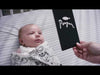 Wee gallery 最熱賣的商品之一,精緻的手繪原創插畫可以讓寶貝們在嬰兒階段就接觸如此具有藝術感的黑白插畫風格。 從一開始,這些藝術卡片就開始發展嬰兒的視覺感知。這套六隻可愛的動物包括羊駝、小鴨、小鹿、企鵝、貘和羔羊。 #Fantaskid #Wee Gallery #嬰兒藝術卡片 #Art Cards