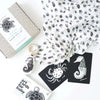 Little Naturalist 禮品套裝 - Ocean Wee Gallery Wee Gallery