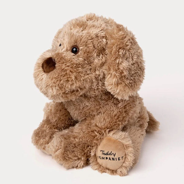 (預購中) 瑞典 Teddykompaniet Selma黃金幼犬