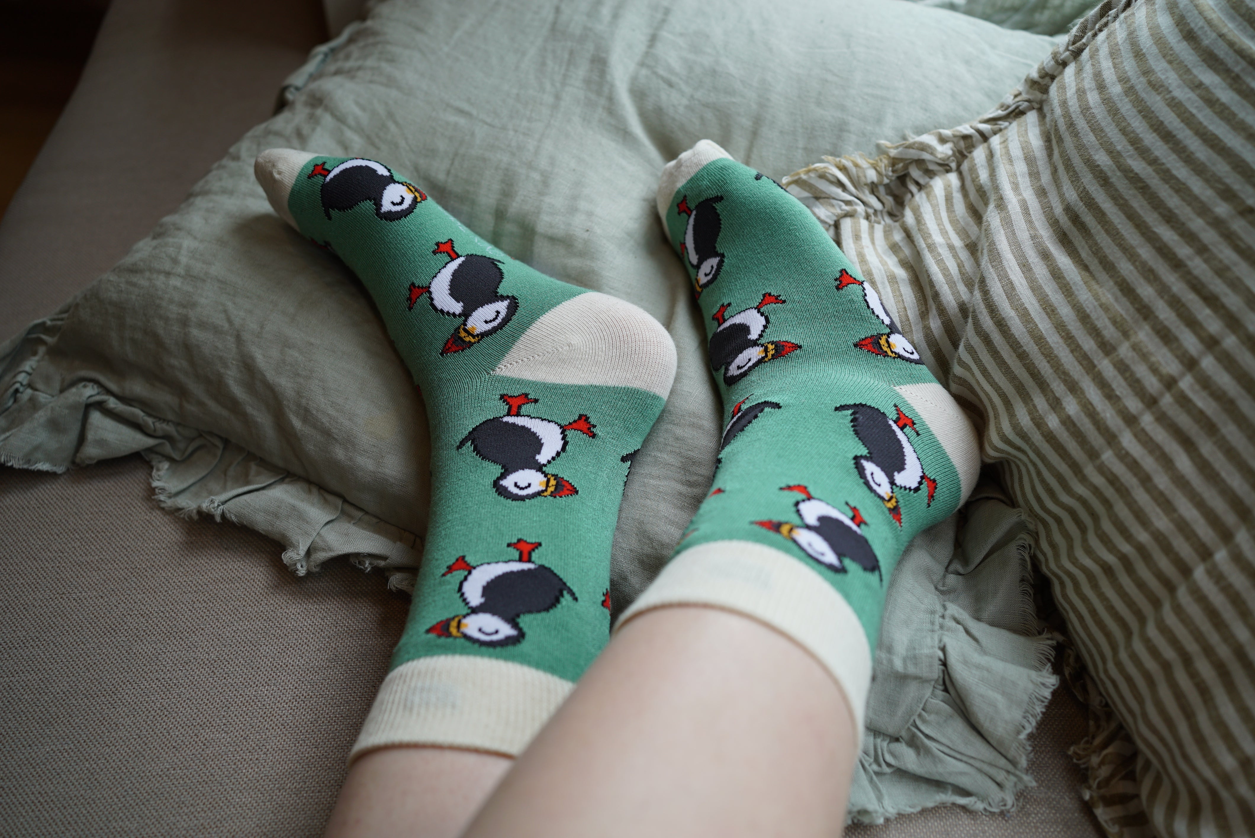 Bare Kind 竹纖維襪 - 海鸚 Green (成人)